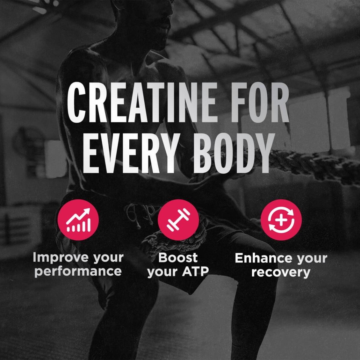 FITAID Creatina en Polvo - Sabor Sandia